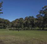 Championship Golf Course on your Back Door - Accommodation Fremantle