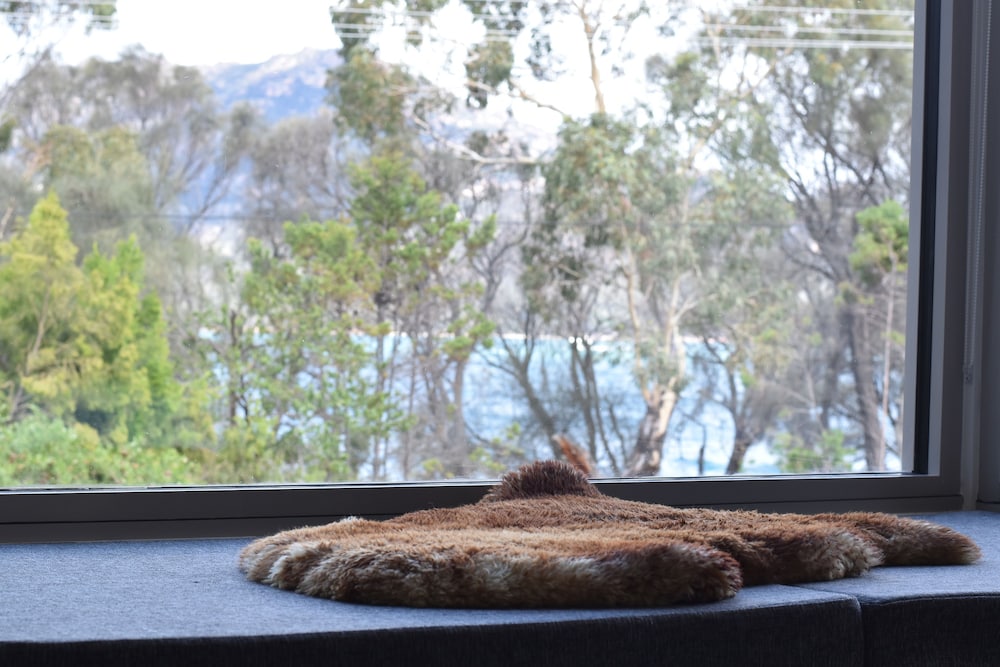 Coles Bay TAS Accommodation Fremantle