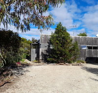 Oystercatcher - Accommodation Fremantle
