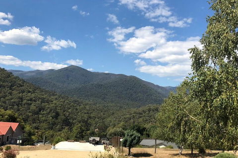 Alpine Stag Lodge Unit 2 - Accommodation Fremantle 7