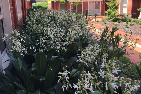 Australian Home Away At Box Hill 2 Bedroom - Accommodation Fremantle 1