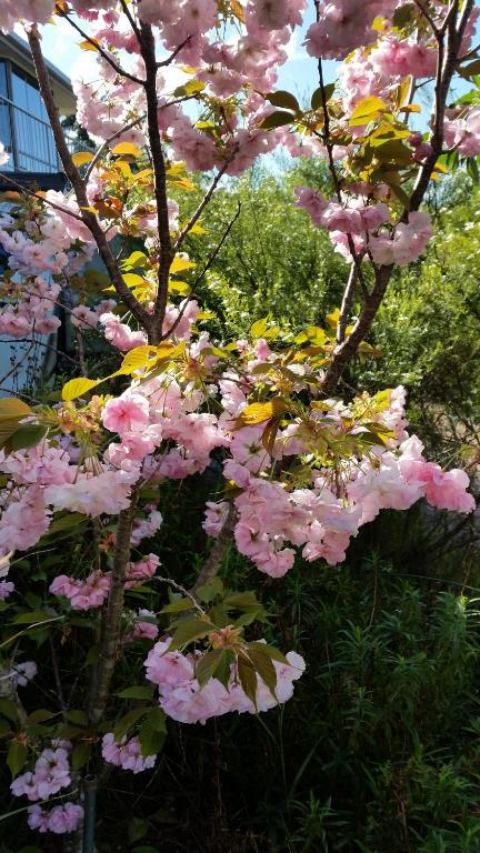 Beezneez B & B - Accommodation Fremantle 5