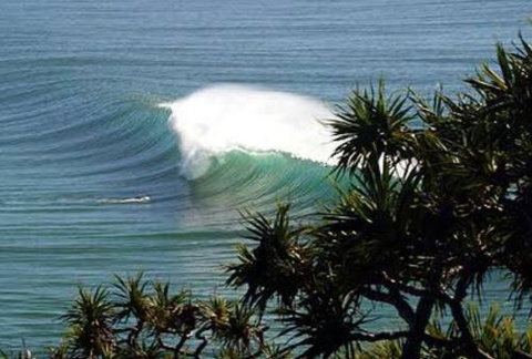 Cabarita Studio - Accommodation Fremantle 0