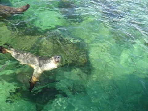 Acaciabnb - Accommodation Fremantle 5