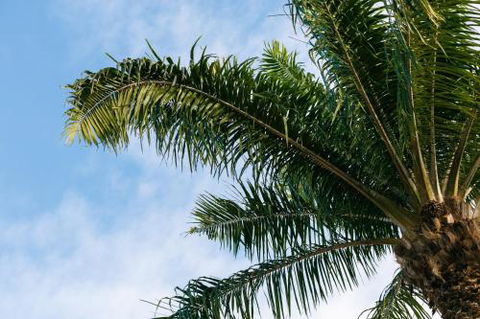 Esprit Luxury Retreat Palm Cove - Accommodation Fremantle 1