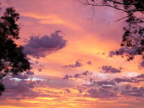 Sunset View Bb Forbes Nsw - Accommodation Fremantle 0