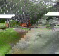 Rainforest Ranch