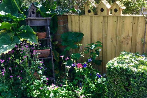 Aggies Bed & Breakfast - Accommodation Fremantle 7