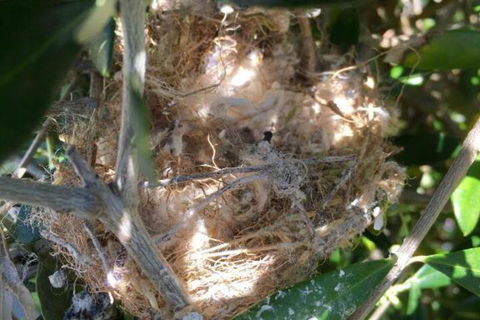 Aggies Bed & Breakfast - Accommodation Fremantle 2