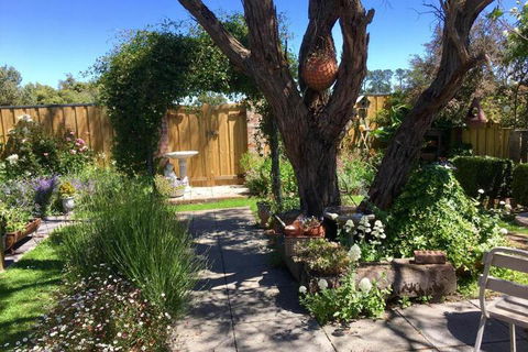 Aggies Bed & Breakfast - Accommodation Fremantle 5