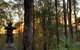 Riveresque - thumb 4