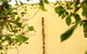 The Greenhouse At Sevenoaks Maylands Accommodation - thumb 1