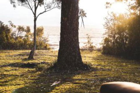 Seagrass On Sunset Bay - Accommodation Fremantle 1