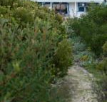 Polperro a quintessential seaside experience - Accommodation Fremantle
