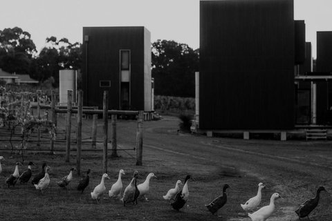 Barn Hives Yallingup - Accommodation Fremantle 1