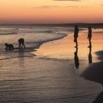 Cromarty Cottage 900m From Birubi Beach - Accommodation Fremantle 0