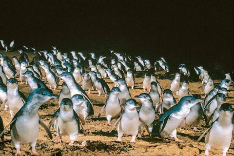 Affinity On Killara - Accommodation Fremantle 1