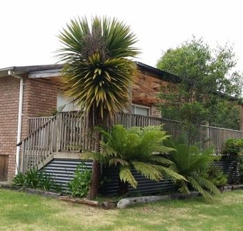 Strahan Holidays - Accommodation Fremantle 4