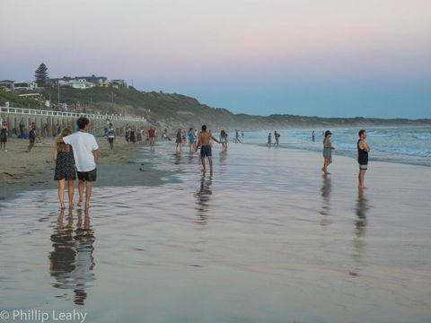 Alices Palace 2 Minute Walk To Lifeguard Patrolled Surf Beach - Accommodation Fremantle 4