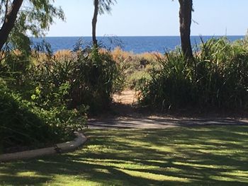 On The Shores Of Geographe Bay - Accommodation Fremantle 5