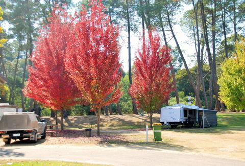 Beechworth Lake Sambell Caravan Park - Accommodation Fremantle 1