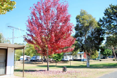 Beechworth Lake Sambell Caravan Park - Accommodation Fremantle 6
