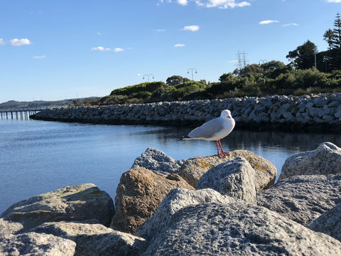 Albany Foreshore Guest House - Accommodation Fremantle 3