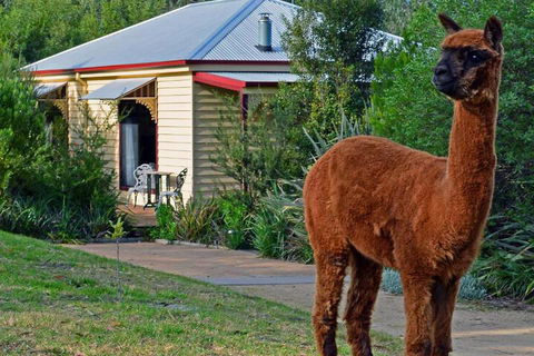 Araluen Park Cottages - Accommodation Fremantle 6