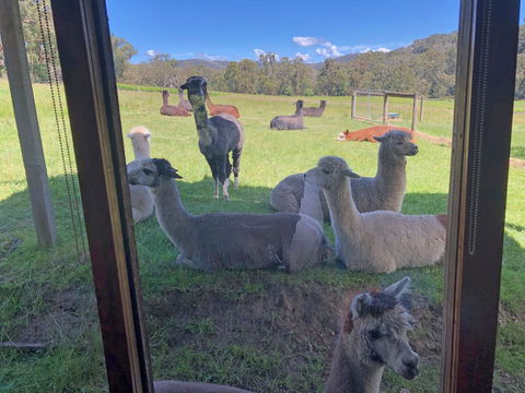 Valley Farm Vineyard Cottages - Accommodation Fremantle 2