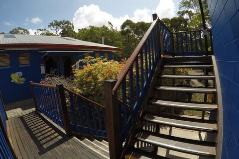 Cool Bananas Backpackers - Accommodation Fremantle 5