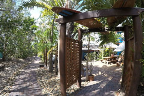Cool Bananas Backpackers - Accommodation Fremantle 6