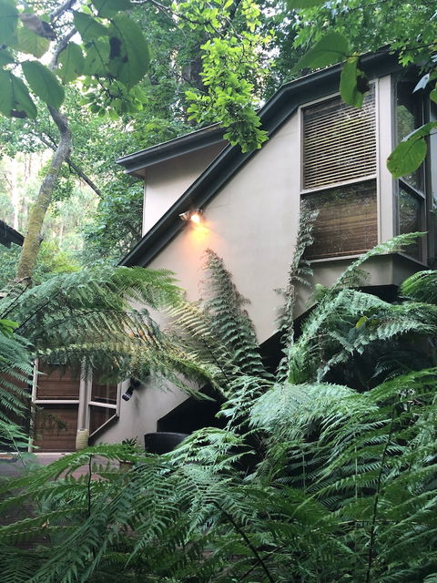 Linden Gardens Rainforest Retreat - Accommodation Fremantle 2