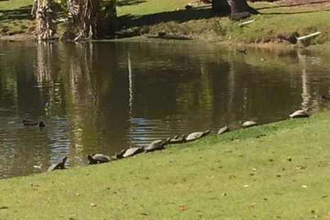 Sanctuary Lakes Fauna Retreat - Accommodation Fremantle 1