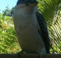 Tropic Oasis Holiday Villas - Accommodation Fremantle