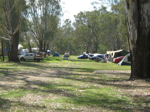 Rivergum Holiday Park - Accommodation Fremantle 4