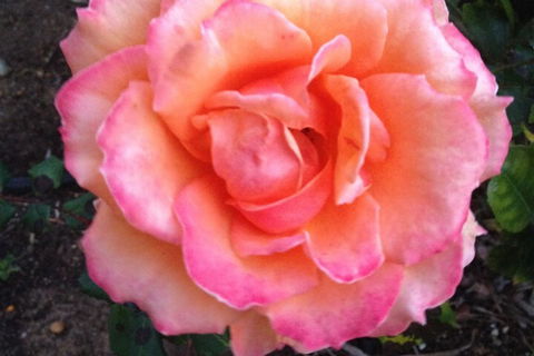 Augusta Escape Holiday Units - Accommodation Fremantle 1