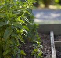 Grampians Eco YHA - Hostel - Accommodation Fremantle