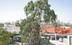Malibu Apartments - thumb 1