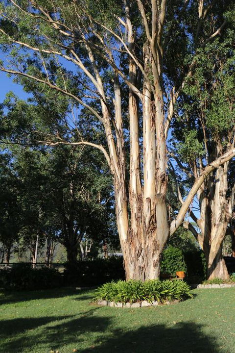 Serendipity On Allyn - Accommodation Fremantle 5