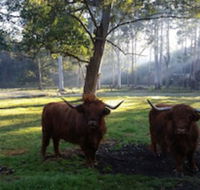 Dingley Dell - Accommodation Fremantle