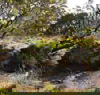 Green Gully House - Accommodation Fremantle
