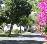 BIG 4 Hay - Accommodation Fremantle