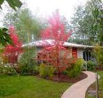 Dalrymples Guest Cottages - Accommodation Fremantle