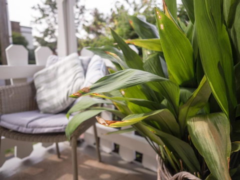 Cottage 79 - Accommodation Fremantle 5