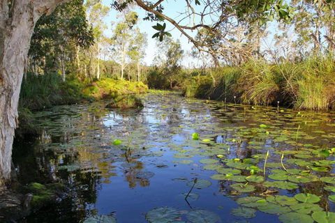Salamander Bay Bed & Breakfast - Accommodation Fremantle 3