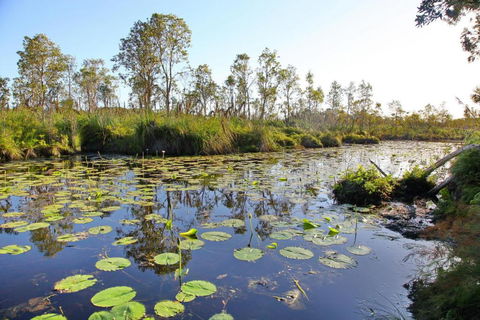 Salamander Bay Bed & Breakfast - Accommodation Fremantle 4
