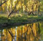 On The Banks - Accommodation Fremantle