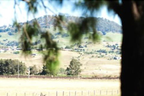 Killarney View Cabins & Caravan Park - Accommodation Fremantle 1