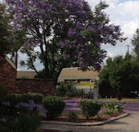 Belvoir Village Motel  Apartments Wodonga - Accommodation Fremantle