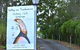 Hilltop On Tamborine - thumb 1